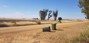 Bin Isolation - South Australian Lockdown Day 2